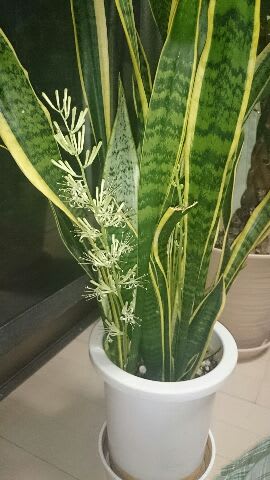 夏休みスタート!!