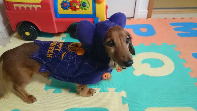 ハロウィン仕様